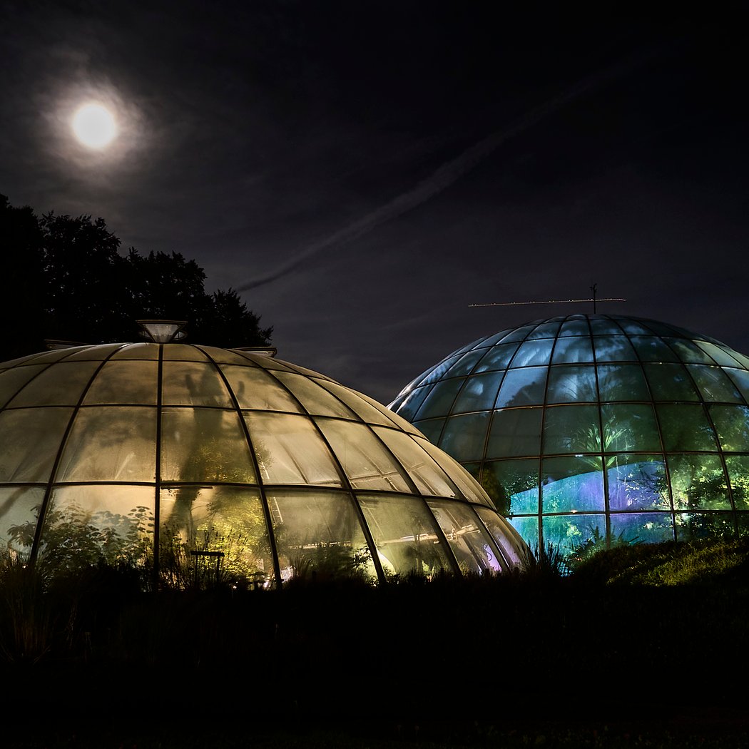 Lange Nacht der Museen 1