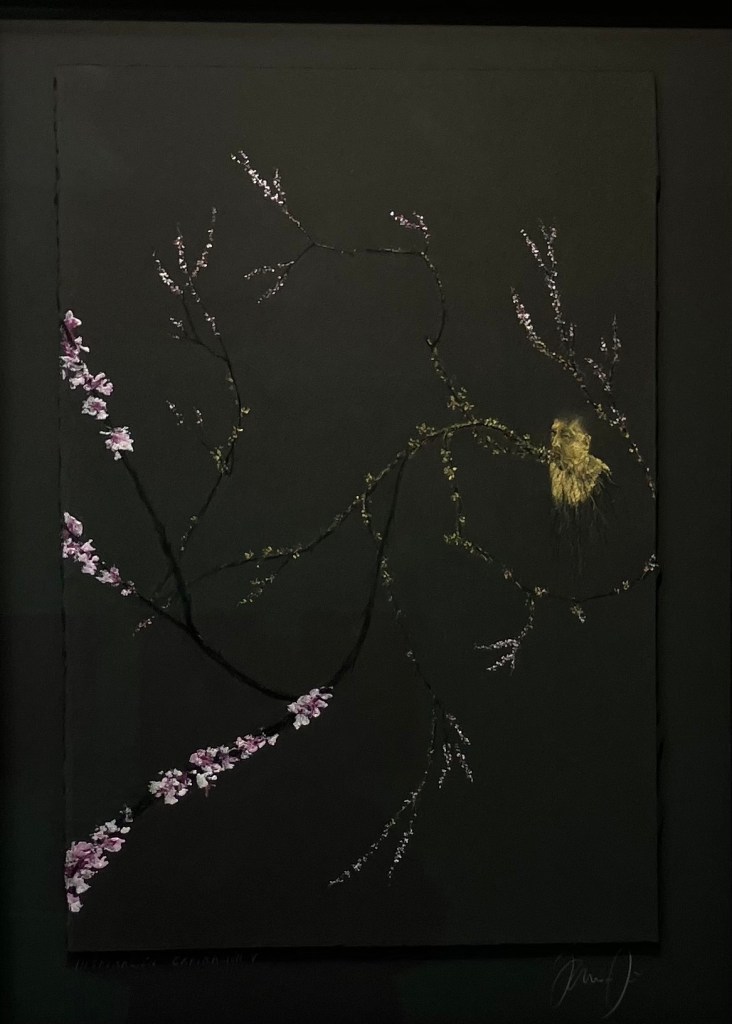 Galerie Papillon 3