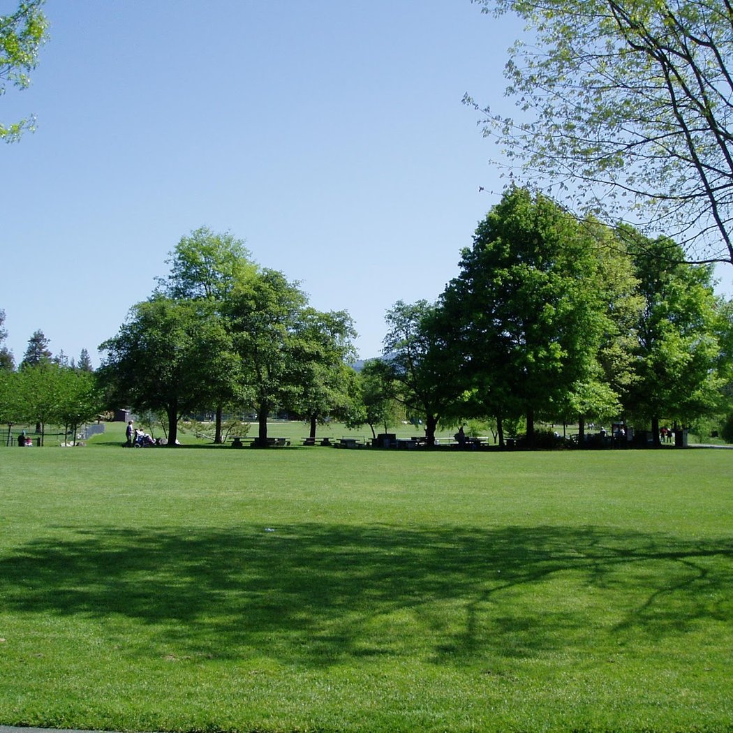 Rincon Valley Community Dog Park 2