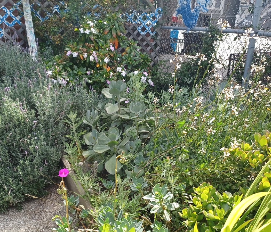 Hayes Valley Art Works 1