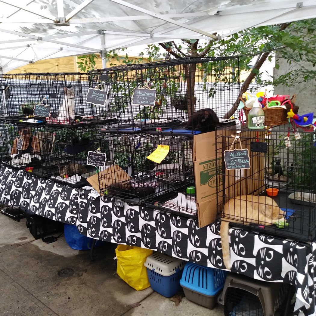 Muddy Paws Pet Supplies 2