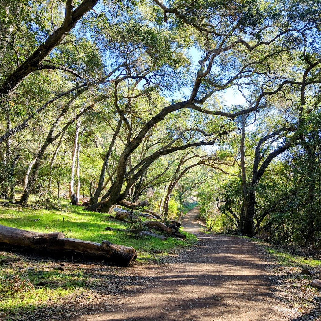 Webb Canyon Trailhead 1