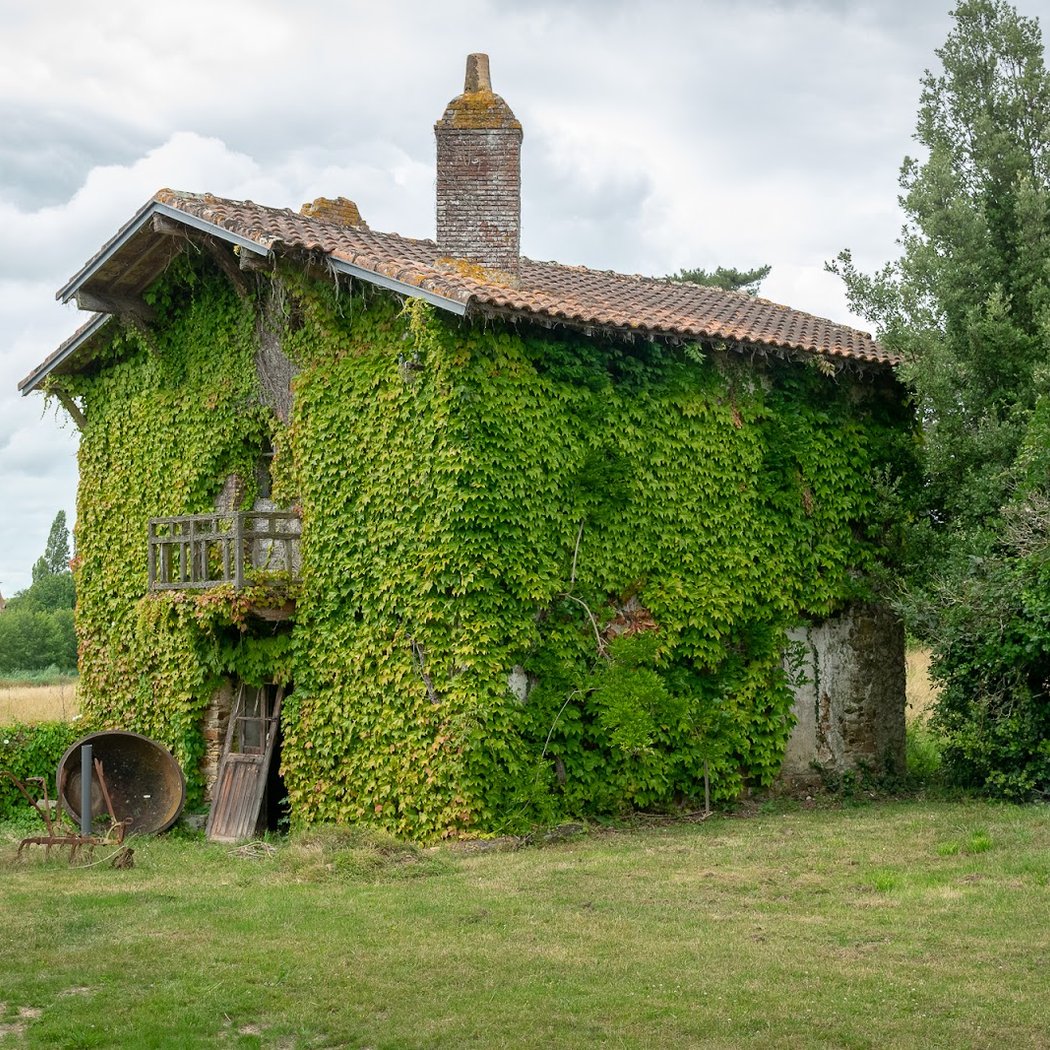 Château de Briord 3