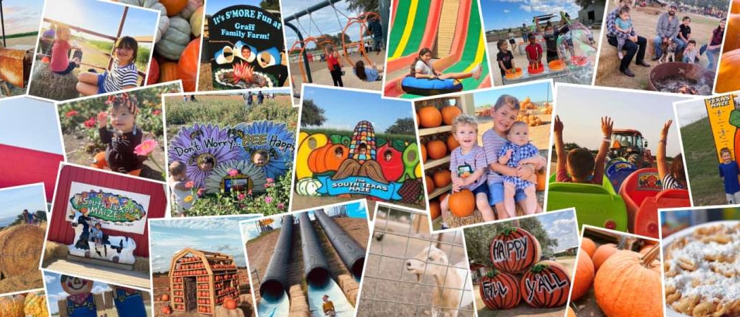 South Texas Maize & Pumpkin Patch 1