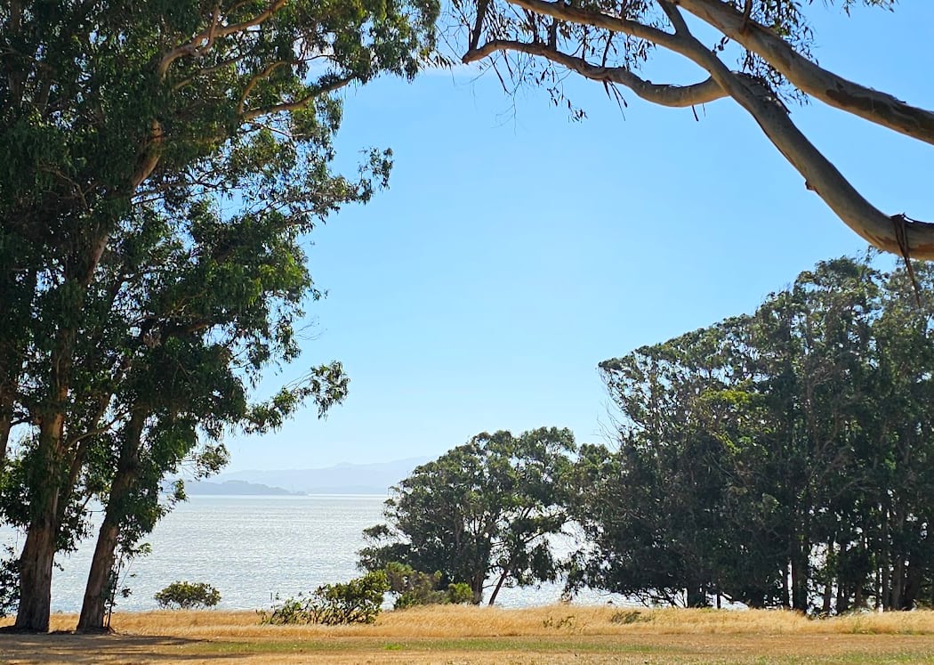Bay Vista Park 1