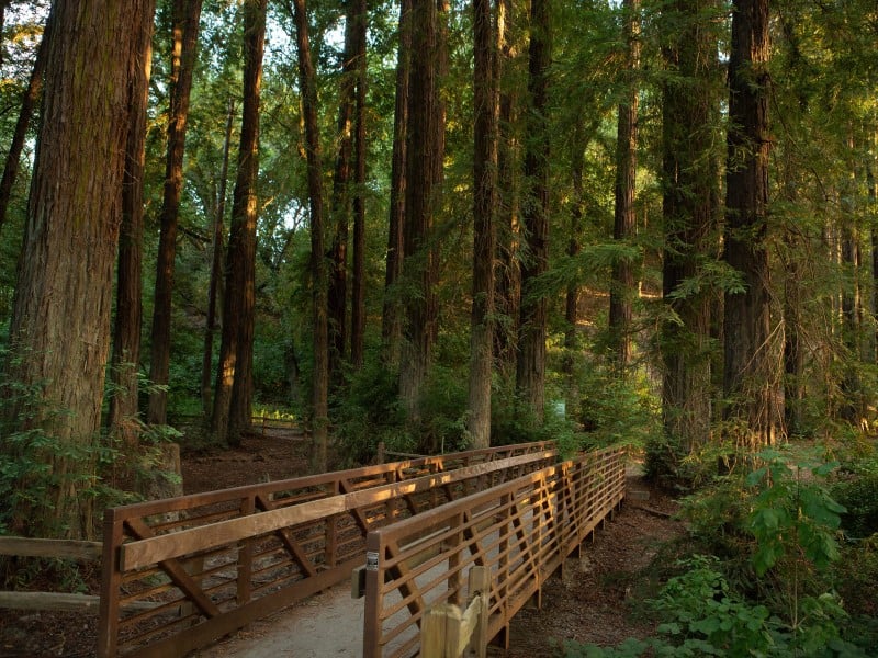 Riverfront Regional Park 1