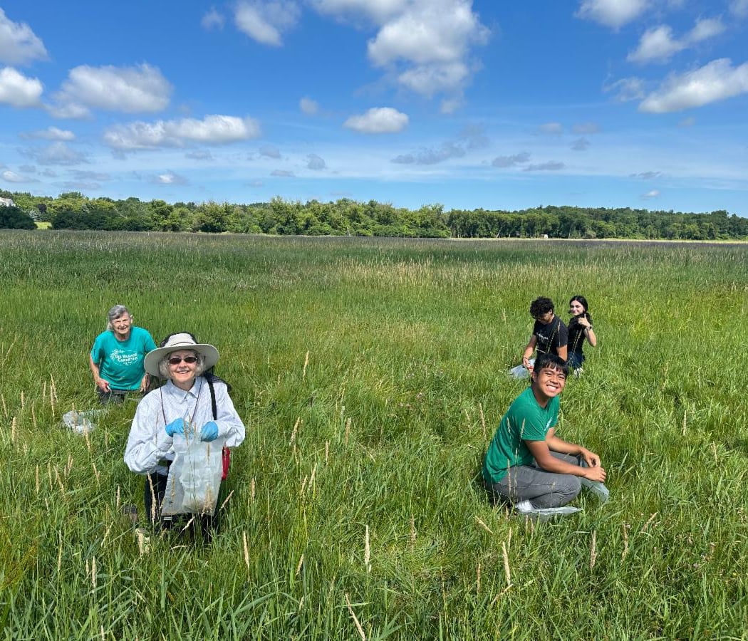 Watersmeet Prairie Grove Restoration Workday 1