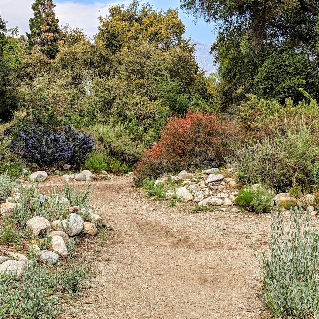 Yoga in the Garden - Noontime Flow 1