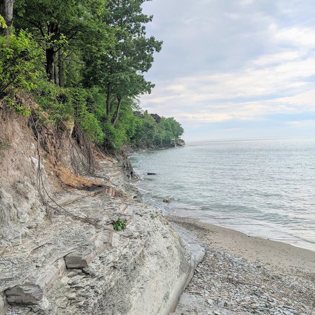 Evangola State Park 2
