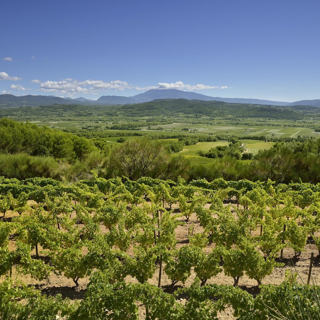Domaine Chaume Arnaud 3