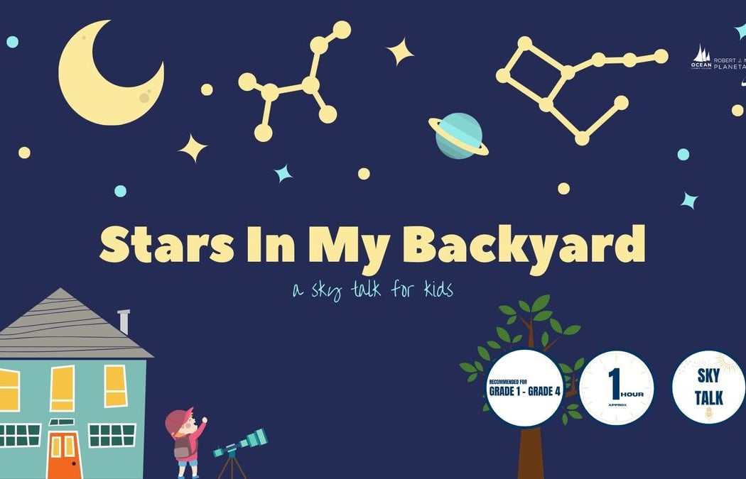 The Stars From My Backyard 1