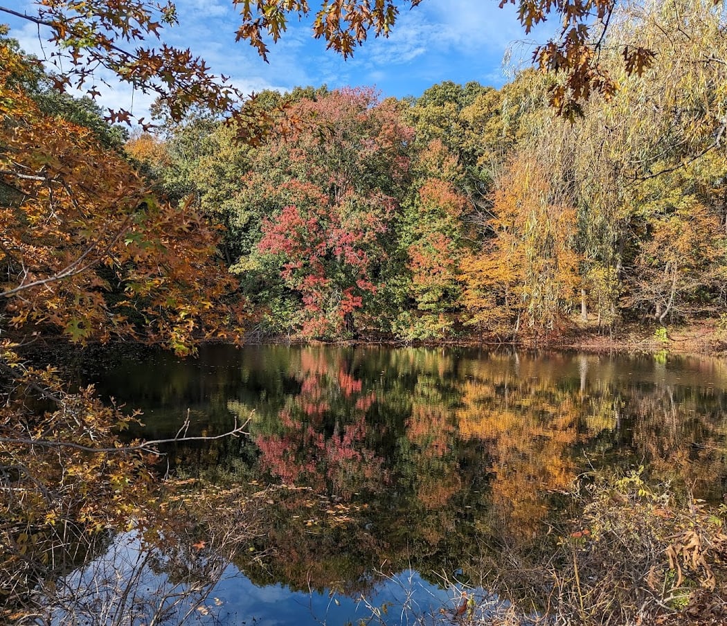 Blackstone Park Conservation District 1