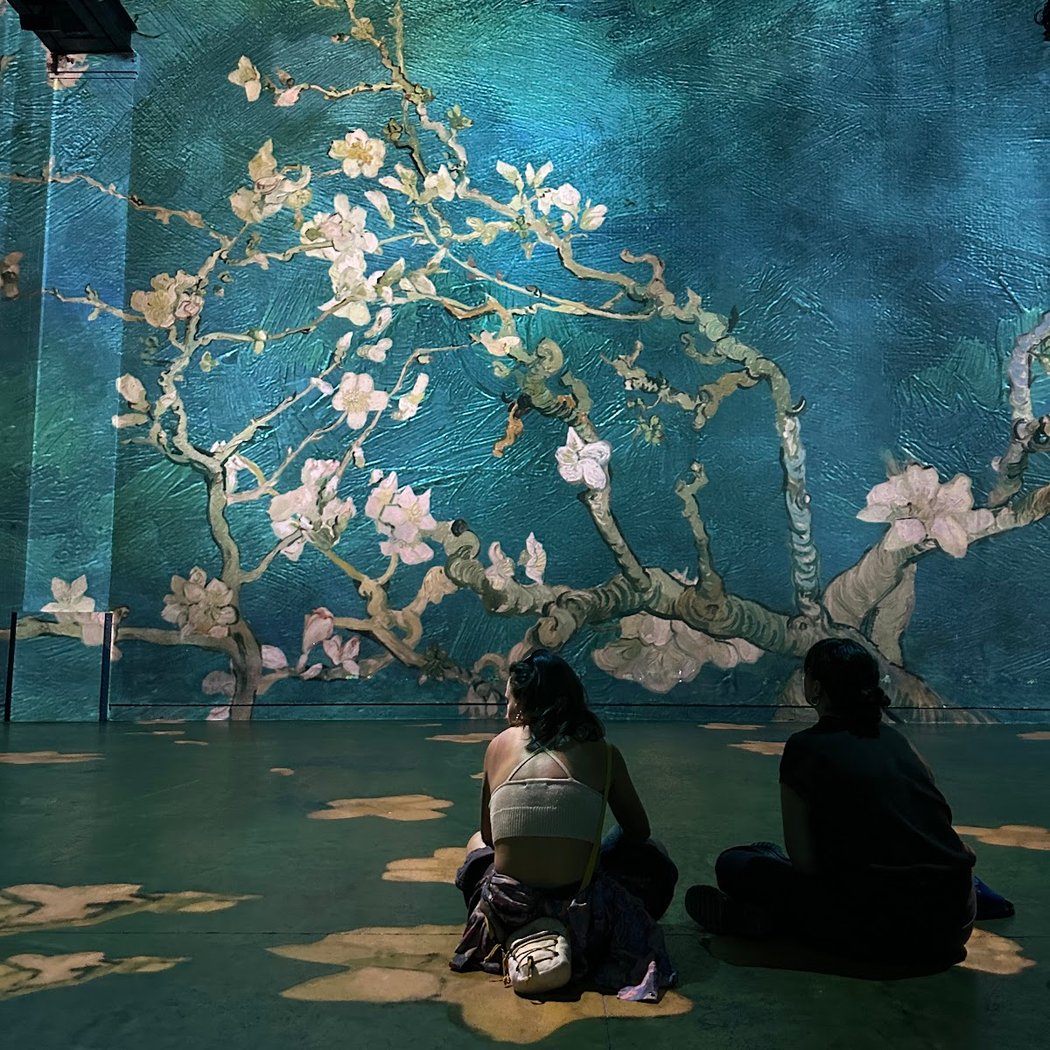 Van Gogh Immersive Exhibition 5