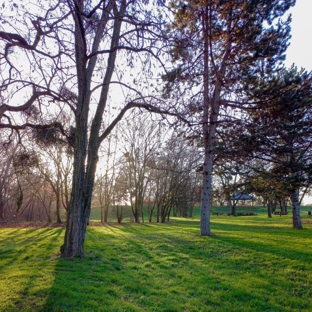 Parc de l’île saint Denis 2
