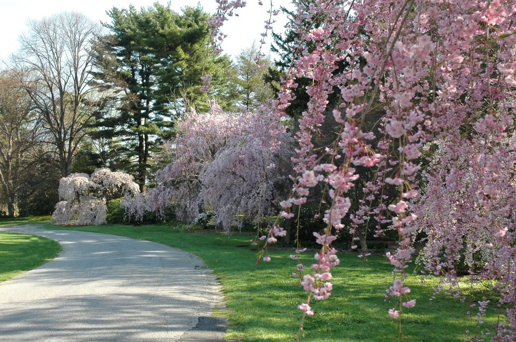 Planting Fields Arboretum State Historic Park 3