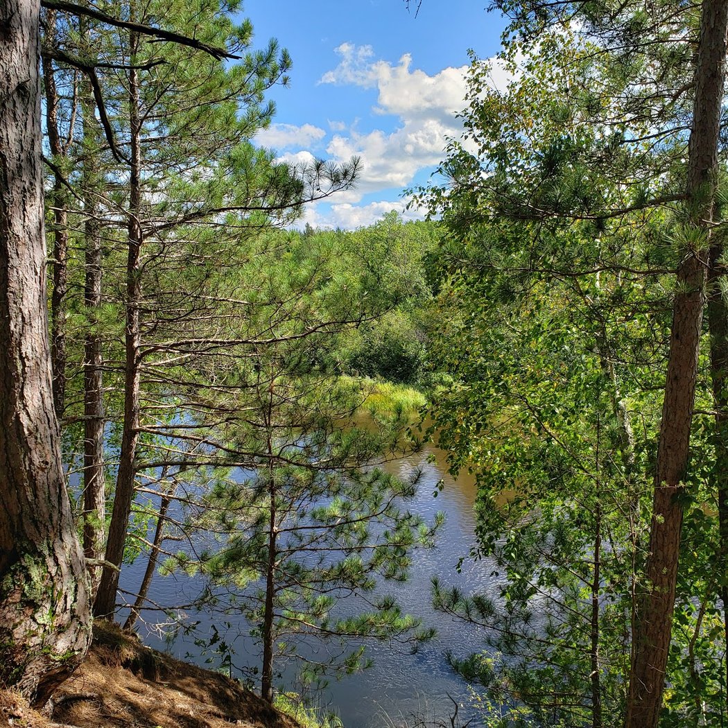 Wild Wanderers: Namekagon Northwoods 3