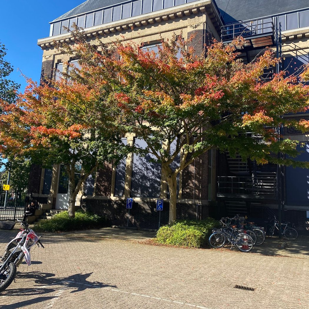 Temporary use and Commons in Real Estate Management 3