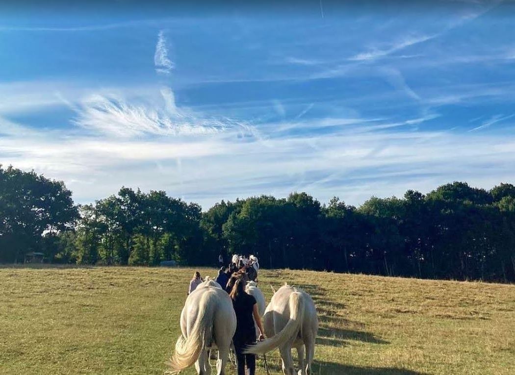 FERME EQUESTRE LES GRILLES 1