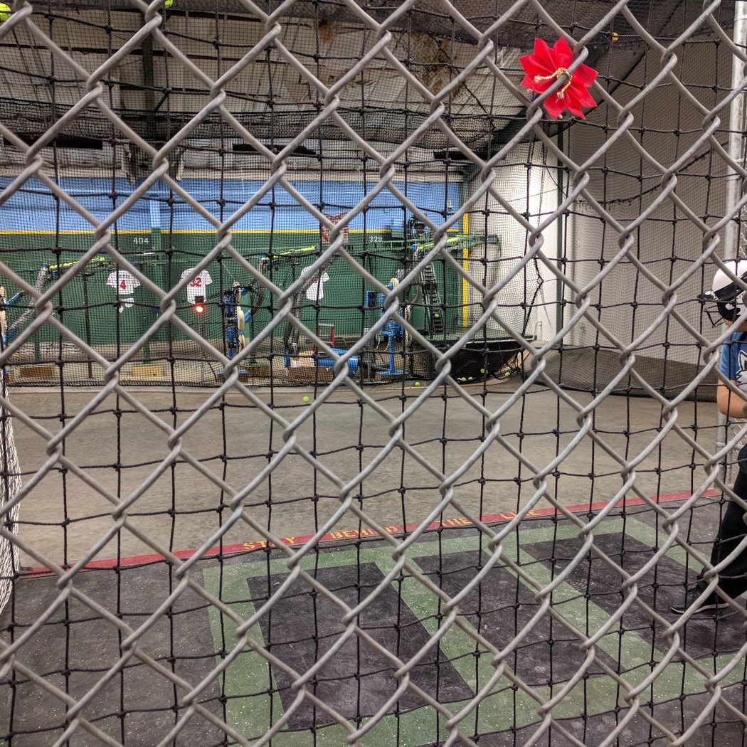 Rice & Arlington Batting Cages 3