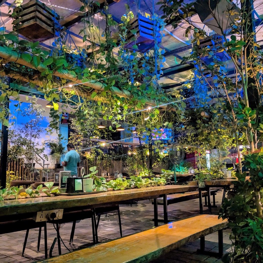 Lono Tropical Lounge 3