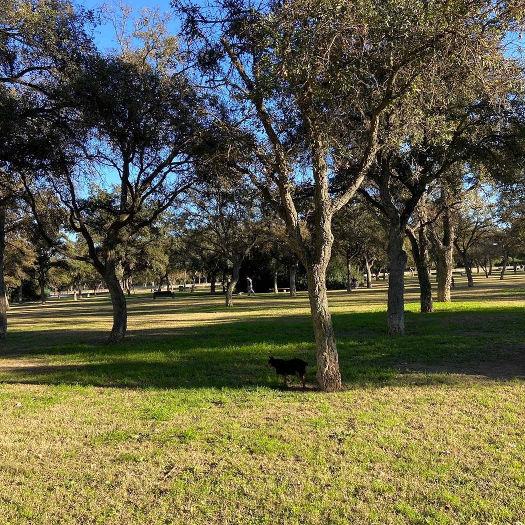 Perros Alamillo Park 2