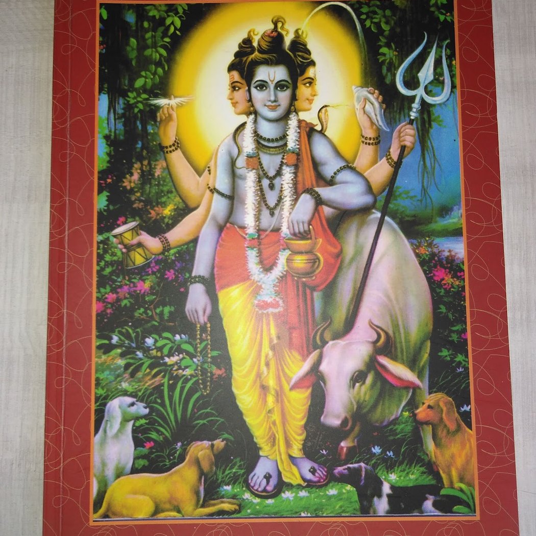 Shreyas Centre for Yoga 3
