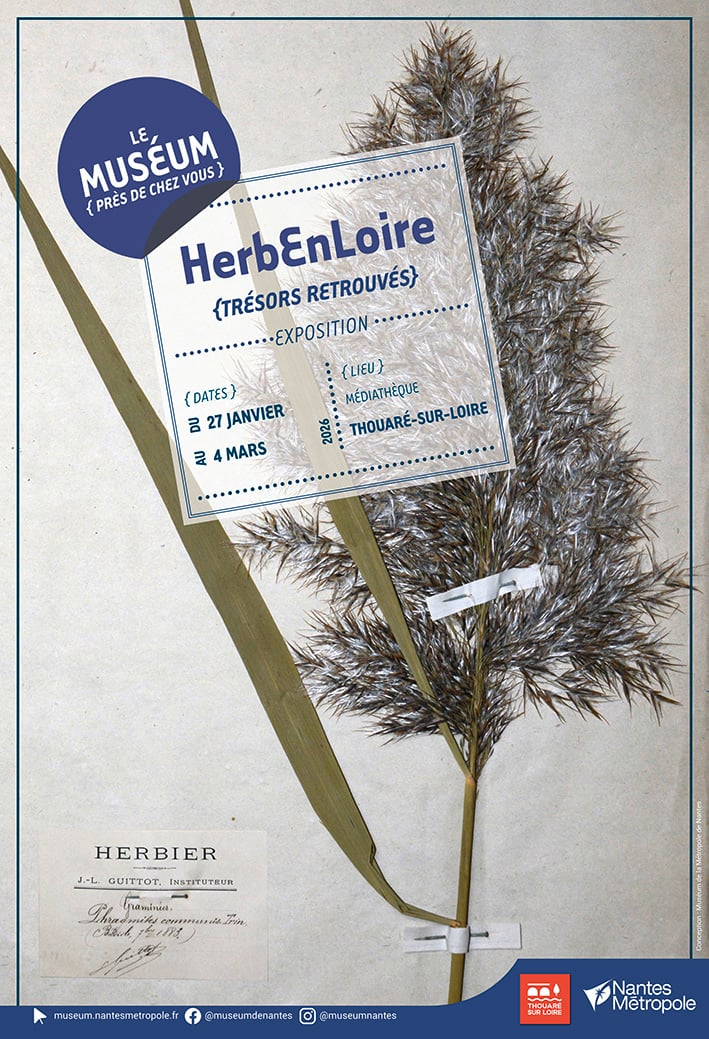 Exposition d'herbiers et collections végétales 1