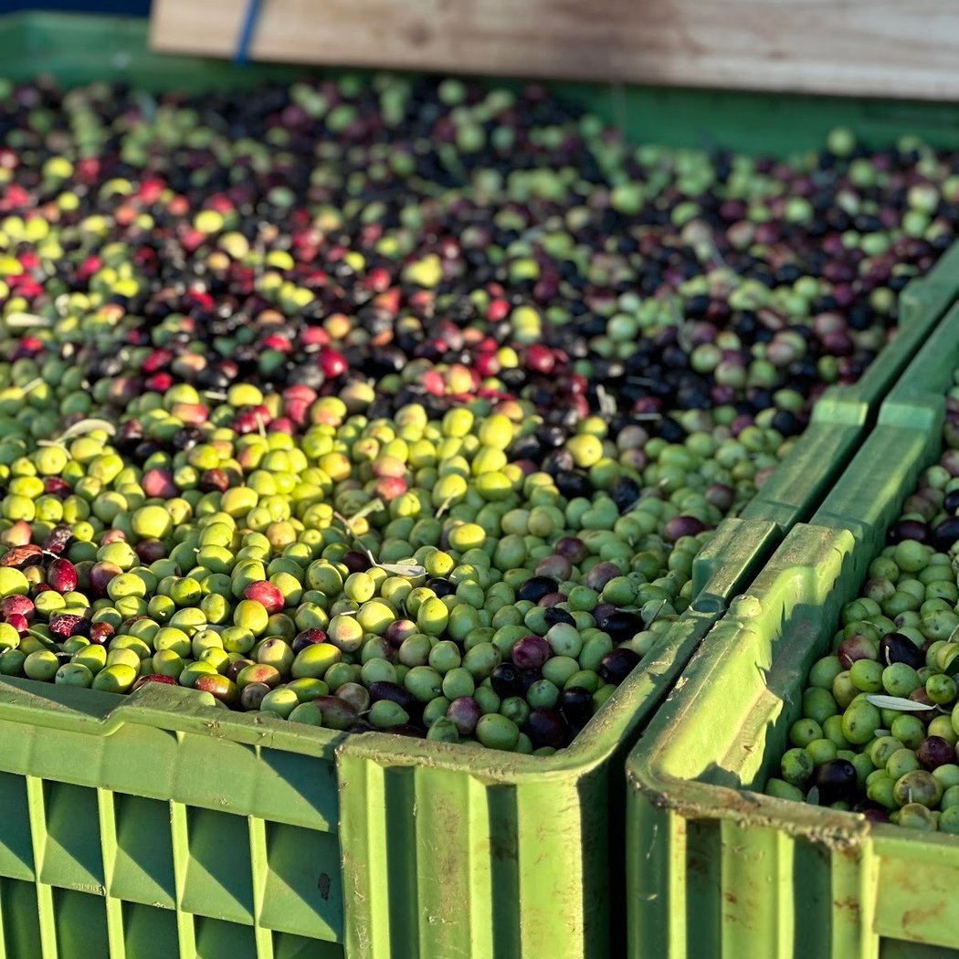 Domaine Piémont du Garlaban - Boutique & Dégustation sur RDV 3
