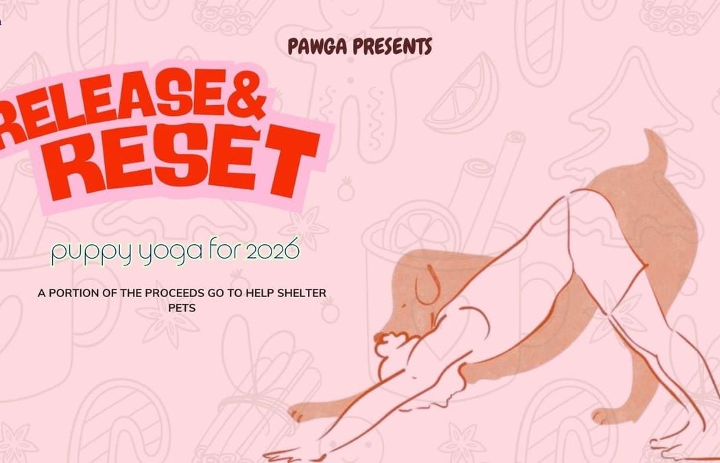 Pawga's Release and Reset Yoga with Puppies for 2026 1