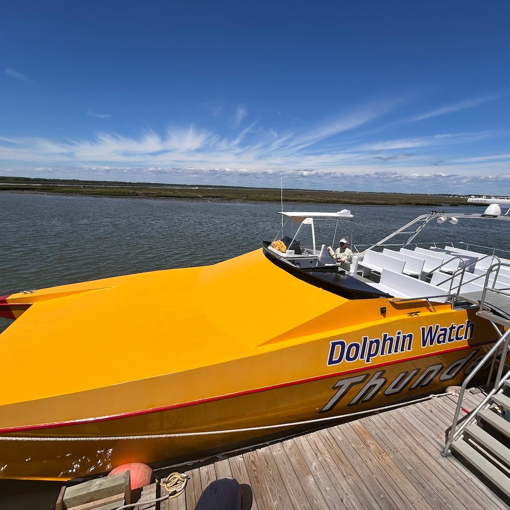 Thunder Cat Dolphin Watch & Speedboat Tours 2