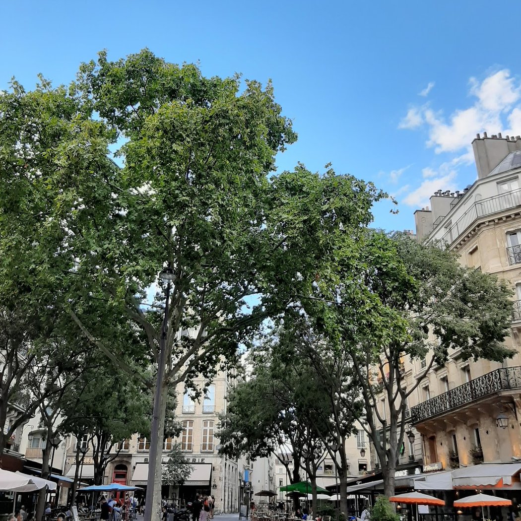 Rue du Bourg Tibourg 1