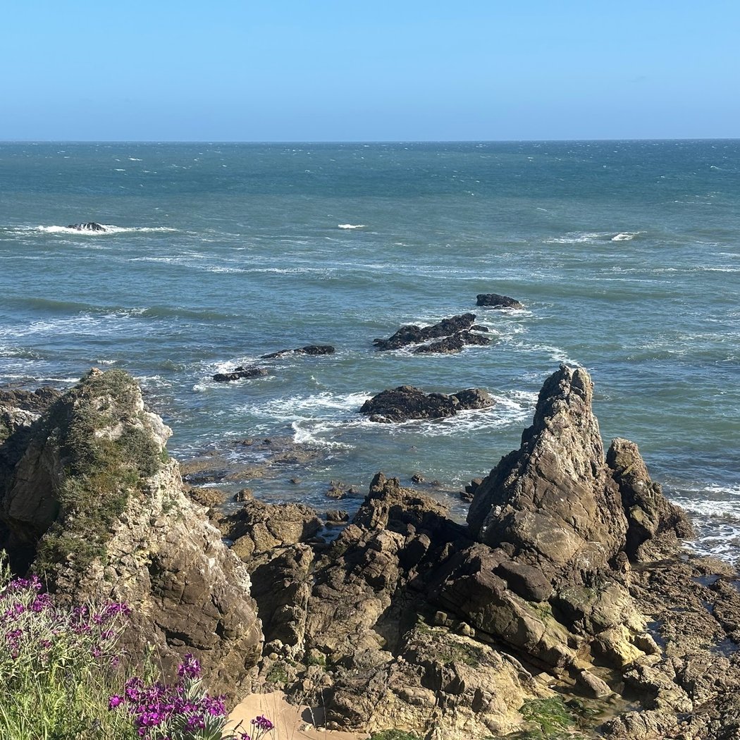 Côte sauvage du pouliguen 1