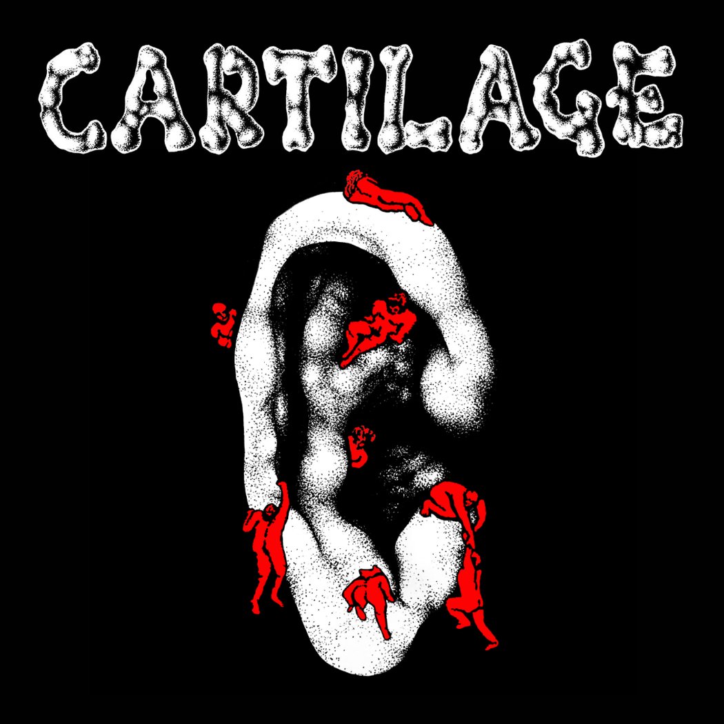 Cartilage 1