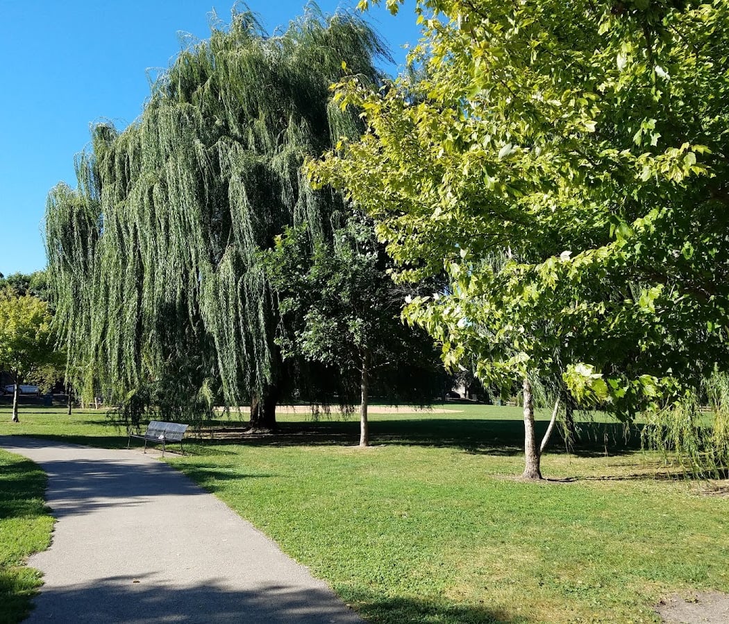 Winnemac Park 2