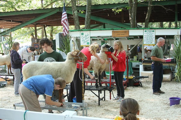 Middlesex County 4-H Fair 2026 2