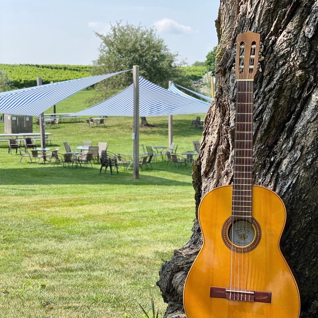 Live Music on the Lawn
