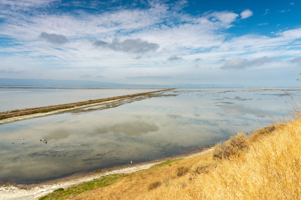 Coyote Hills Regional Park 3