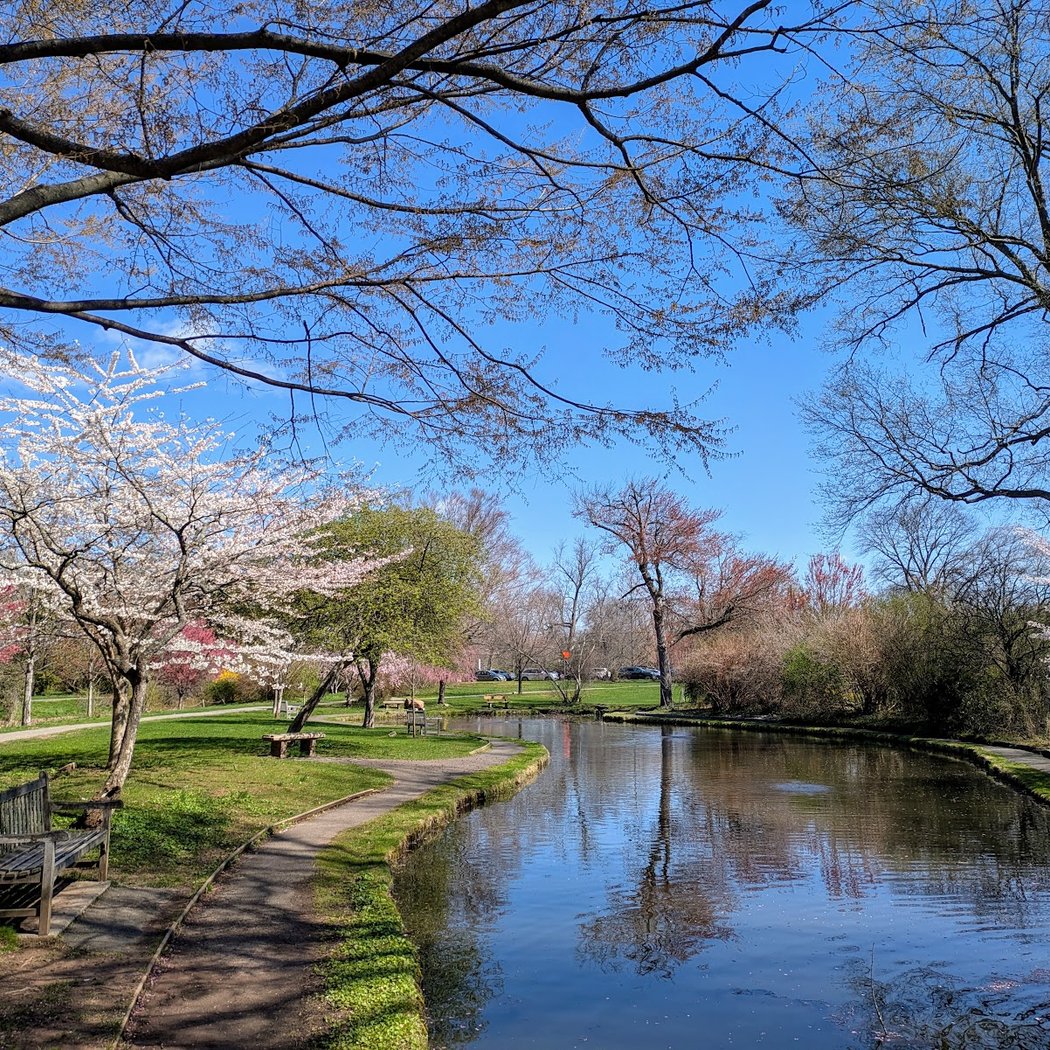 Memorial Park 1