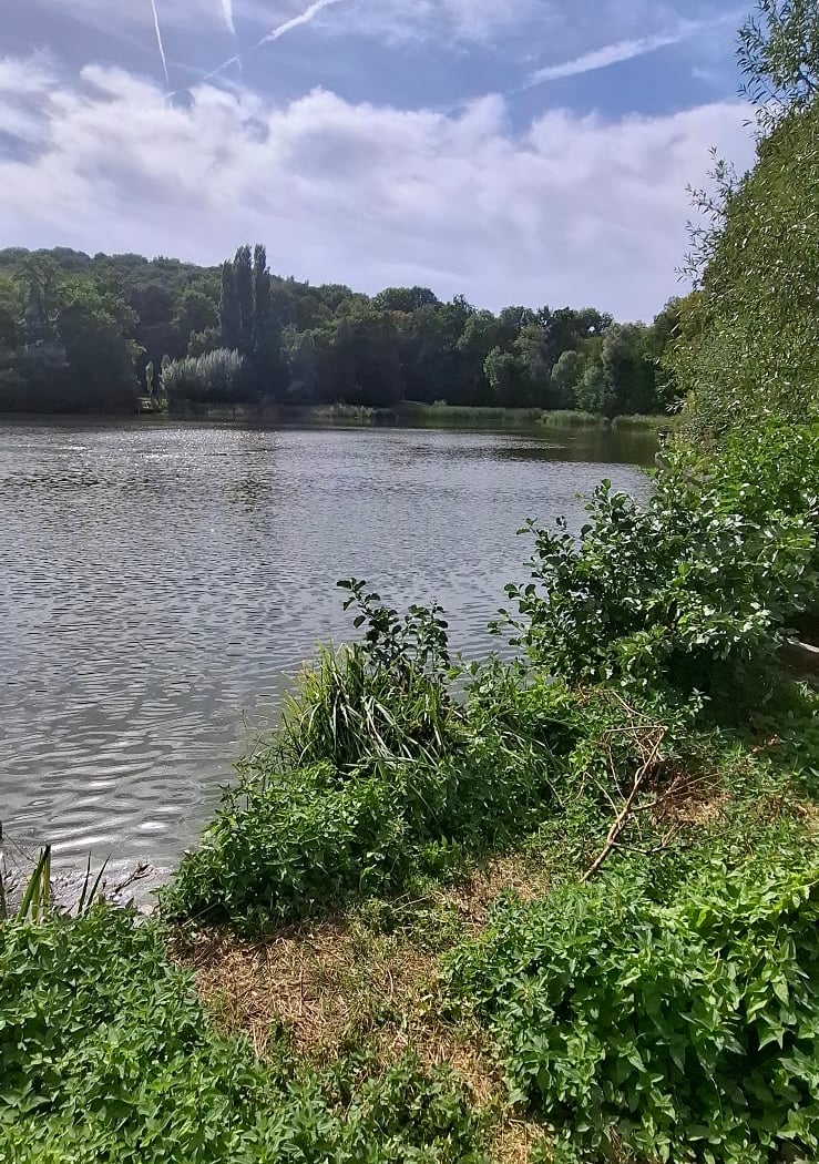Fête des étangs Ville d'Avray 3