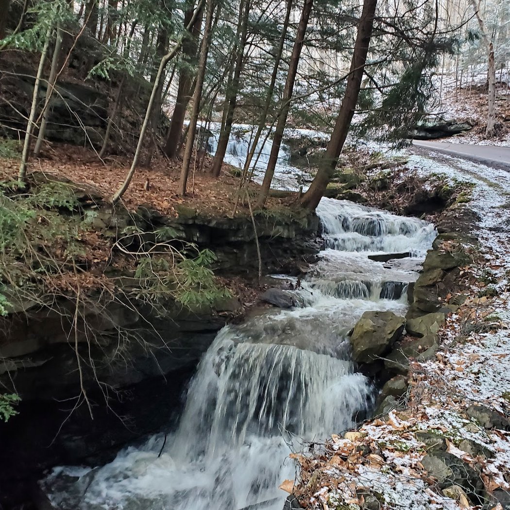 Tomlinson Run State Park 2