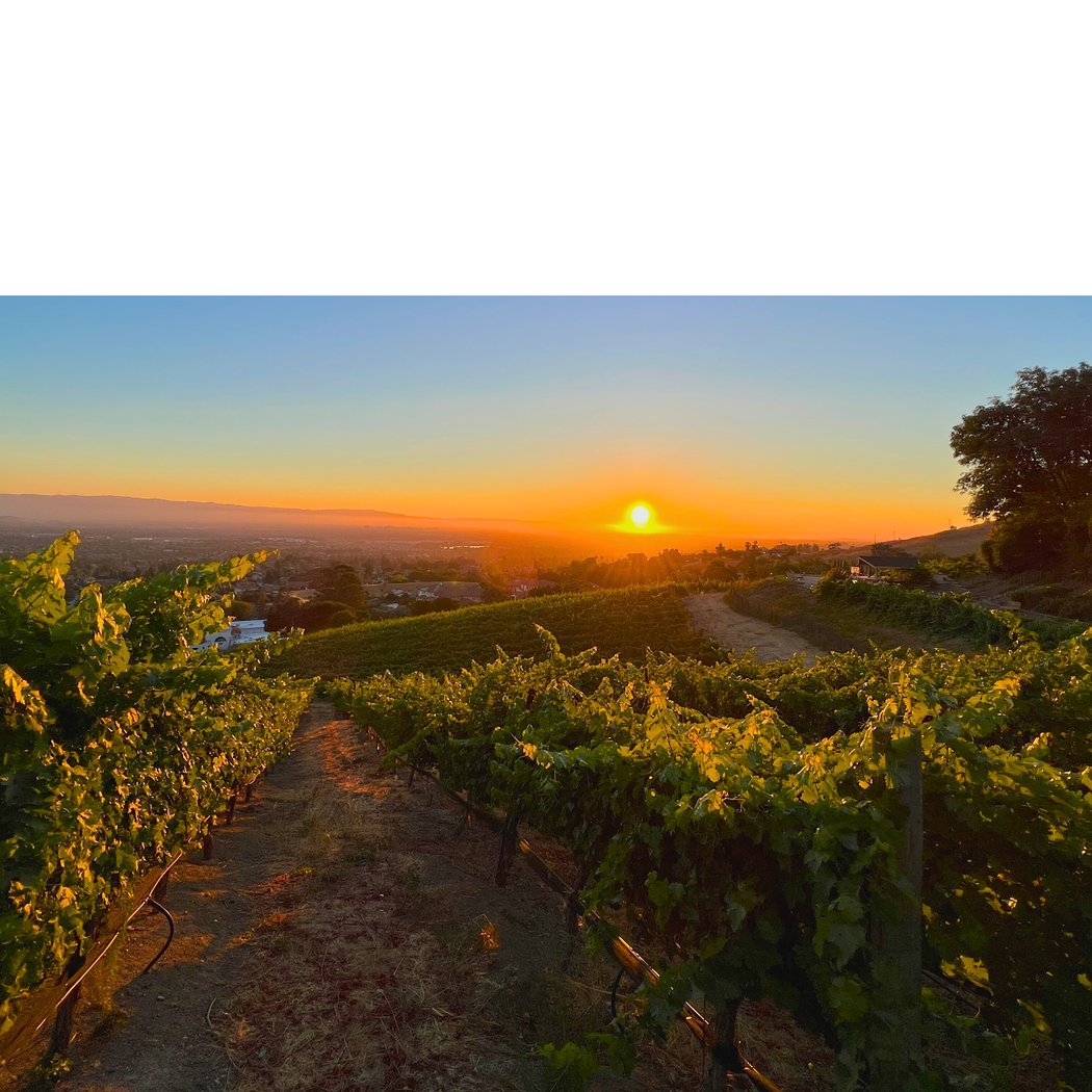 Bella Montagna Winery 3