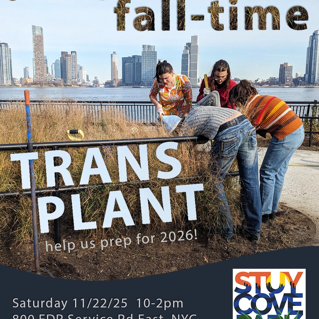 The Big Fall-Time Transplant 1