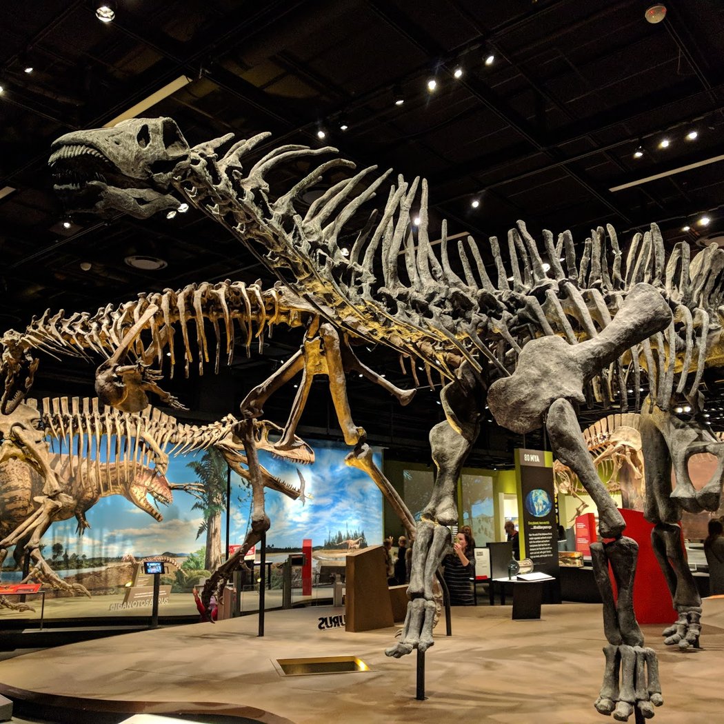 The World's Largest Dinosaurs 1