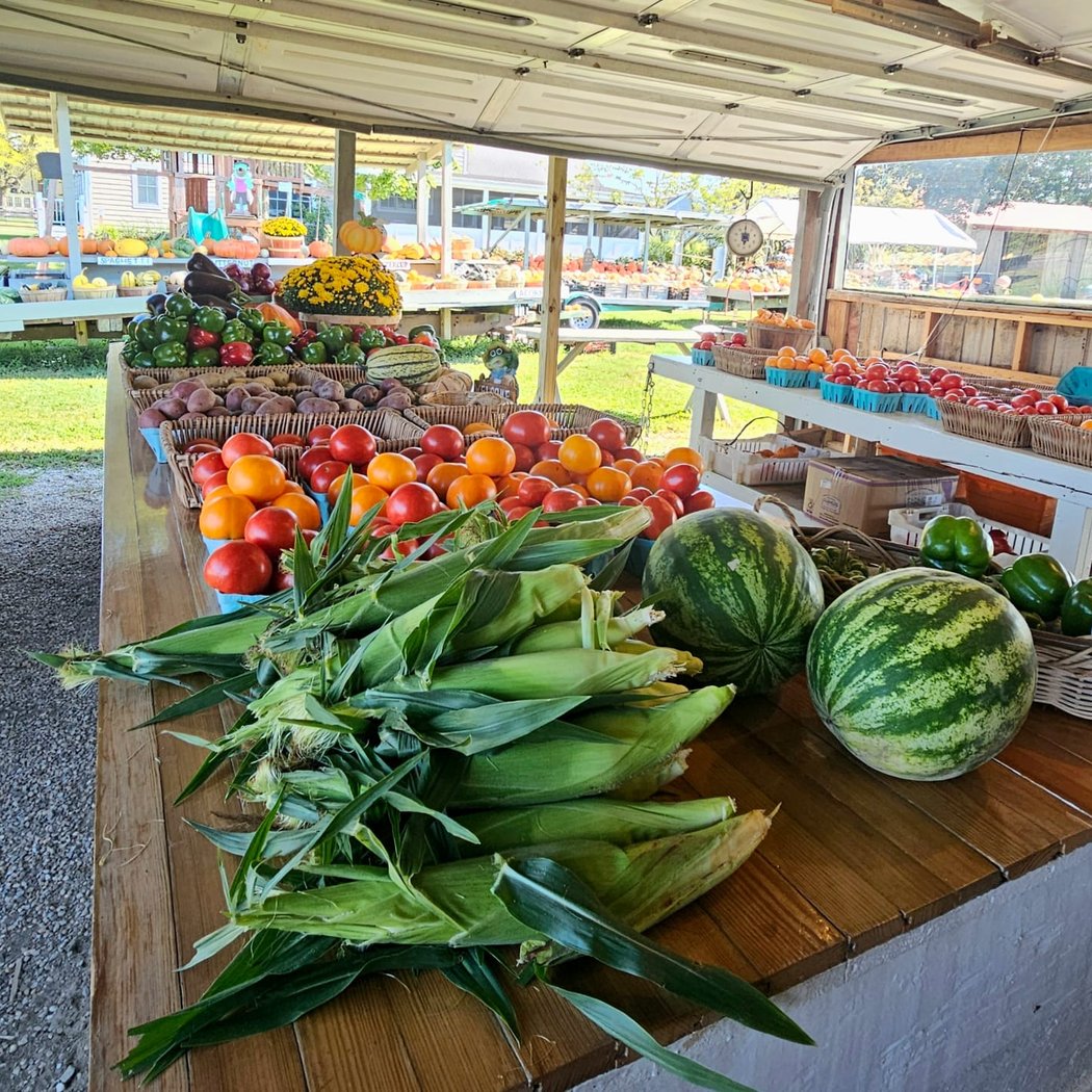 krupski farm 2