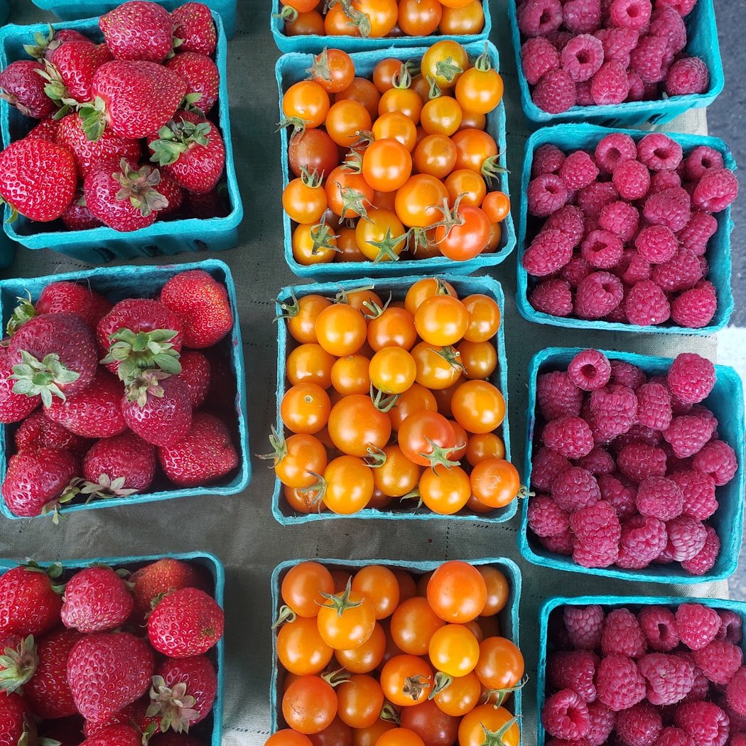 Farias Farm 1