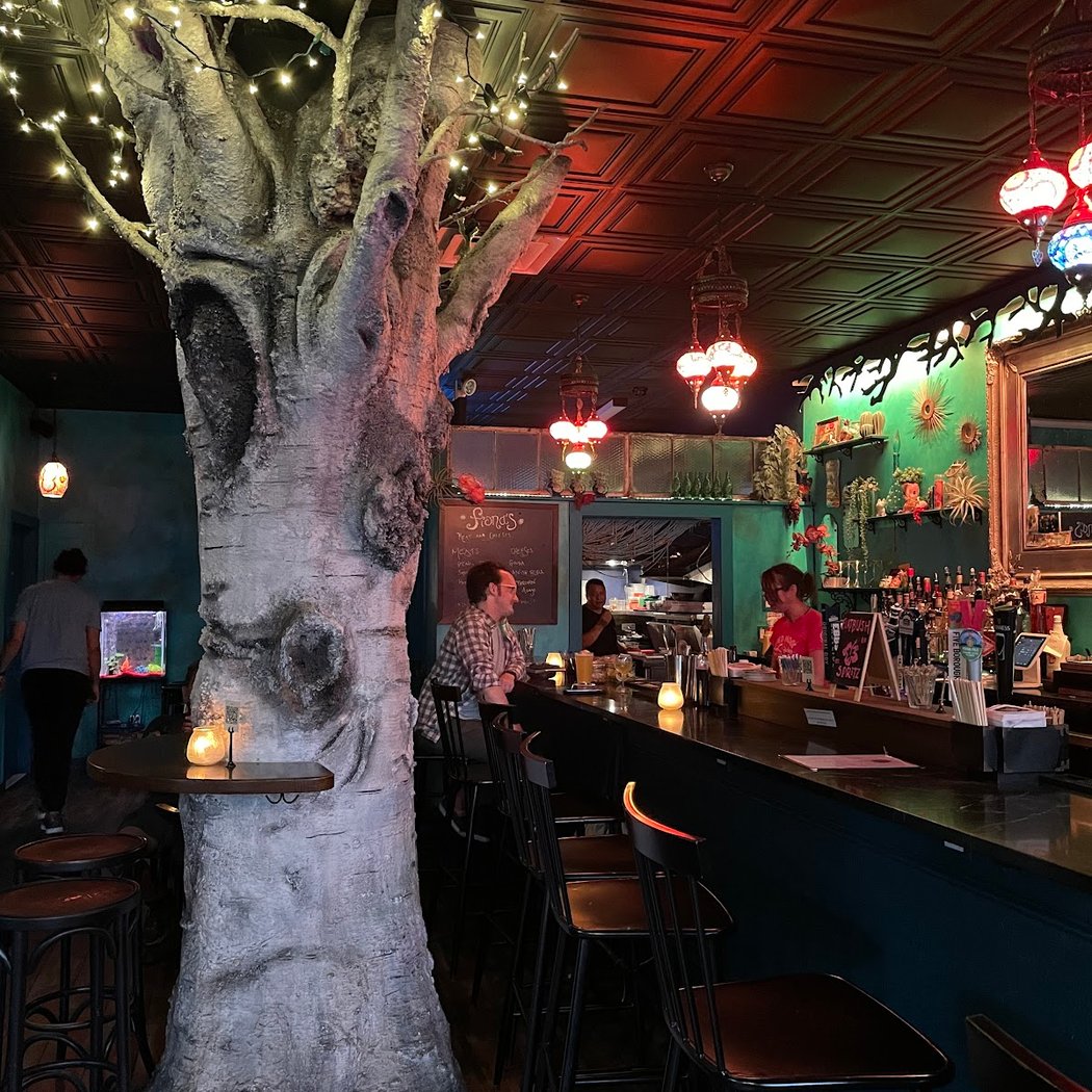 Fiona's Bar 1