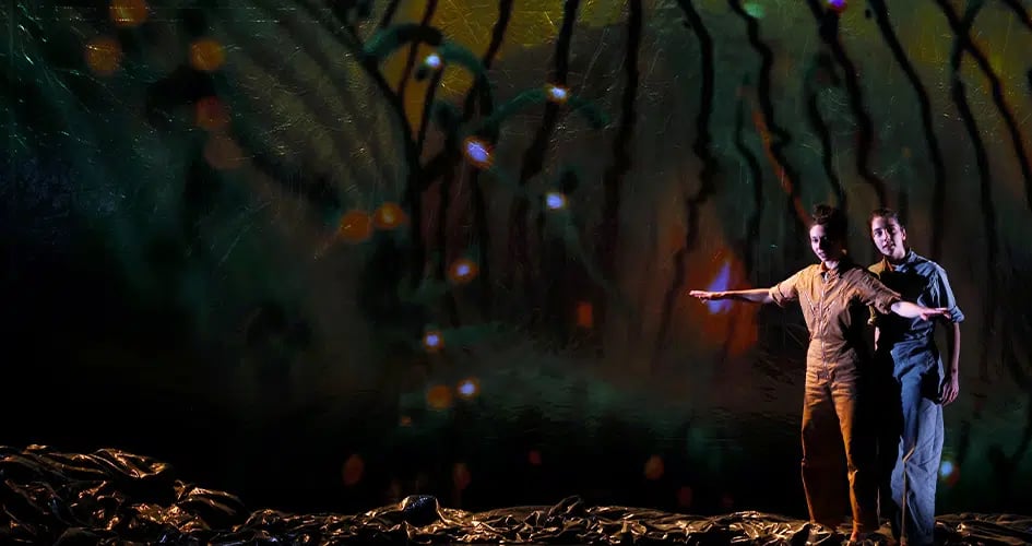 Le Chemin du wombat au nez poilu 3