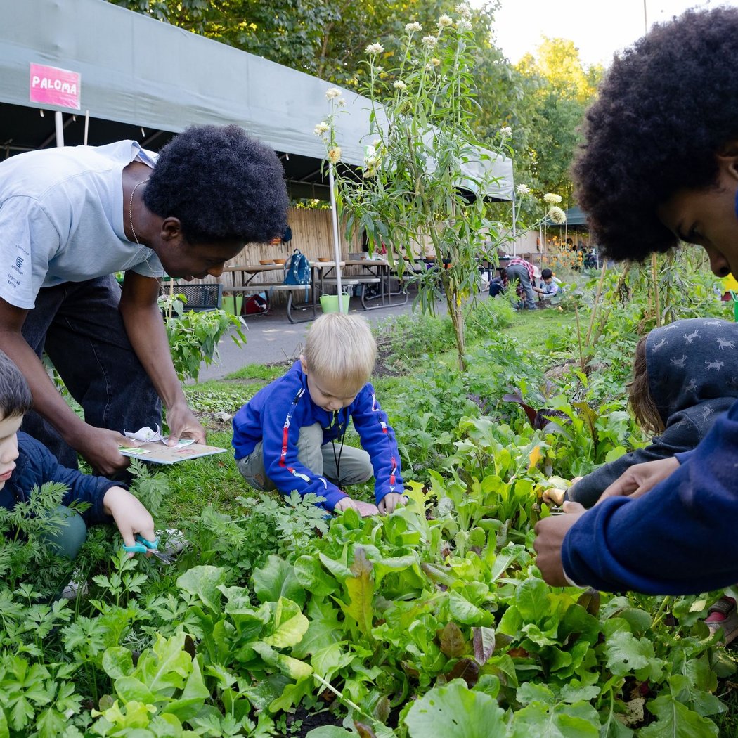 Vegetable Gardening Workshop 2