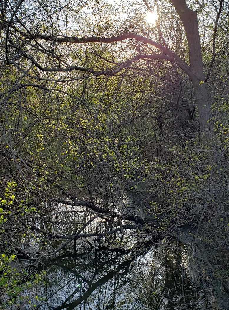 James C Nelson Park 2