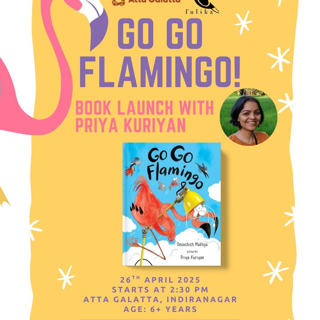 Go Go Flamingo! 1